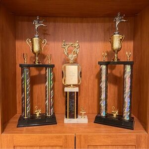 Martial Arts Karate Trophies with Figurines and Base Set of 3 Trophy